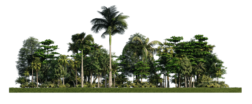 3ds rendering image of 3d rendering trees on grasses field png