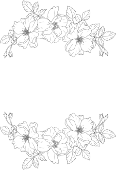 doodle line art rose flower bouquet wreath frame png