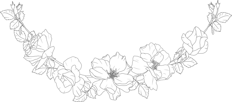 doodle line art rose flower bouquet wreath frame png