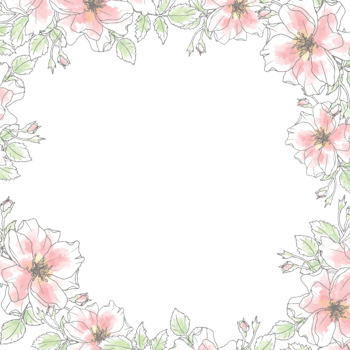 doodle line art rose flower bouquet wreath frame square background png