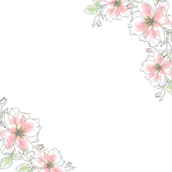 doodle line art rose flower bouquet on paper background png