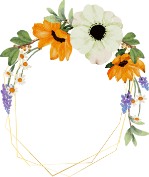 watercolor yellow sunflower and white anemone flower bouquet wreath with gold frame png