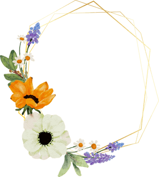 watercolor yellow sunflower and white anemone flower bouquet wreath with gold frame png