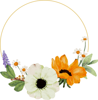 watercolor yellow sunflower and white anemone flower bouquet wreath gold frame png