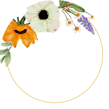 watercolor yellow sunflower and white anemone flower bouquet wreath gold frame png