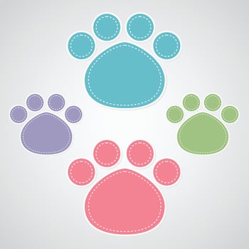 paw prints color on white background vector