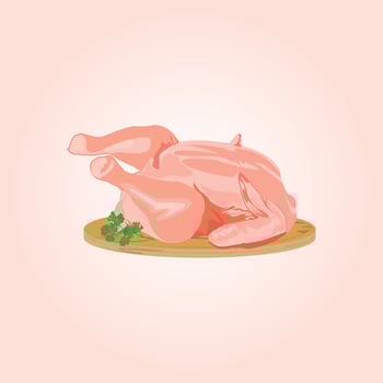 Chicken Raw premium vector illustration