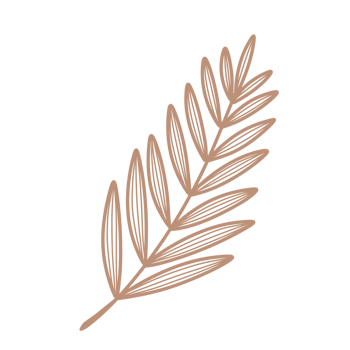 Line Art Leaf png