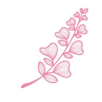 Line Art Leaf png
