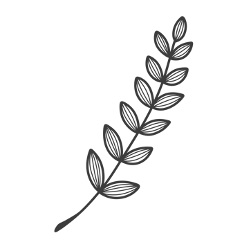 Line Art Leaf png
