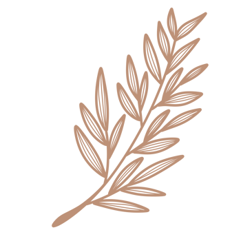 Line Art Leaf png