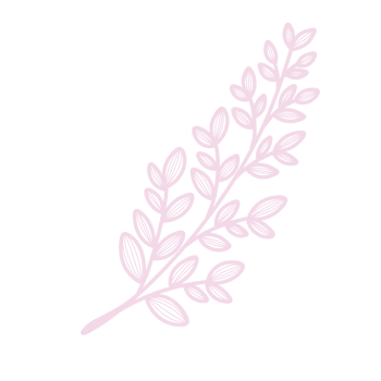 Line Art Leaf png