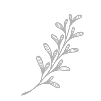 Line Art Leaf png