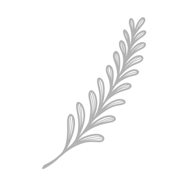 Line Art Leaf png