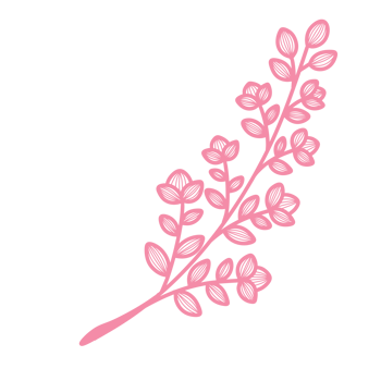 Line Art Leaf png