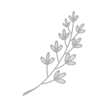 Line Art Leaf png