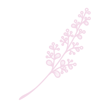 Line Art Leaf png