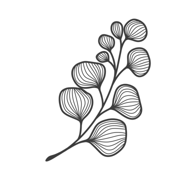 Line Art Leaf png