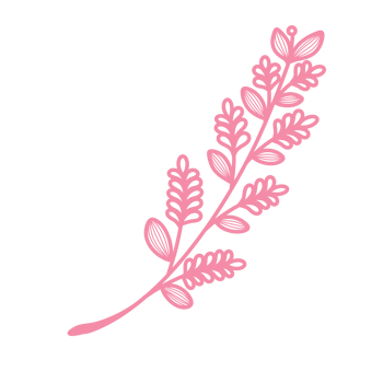 Line Art Leaf png