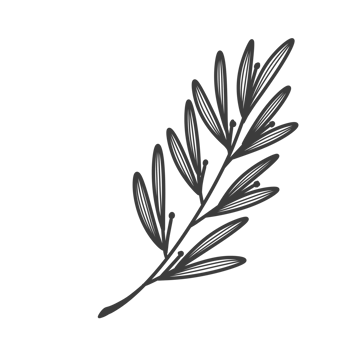 Line Art Leaf png
