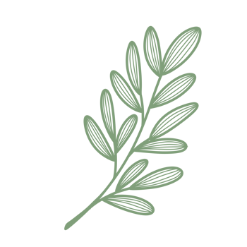 Line Art Leaf png