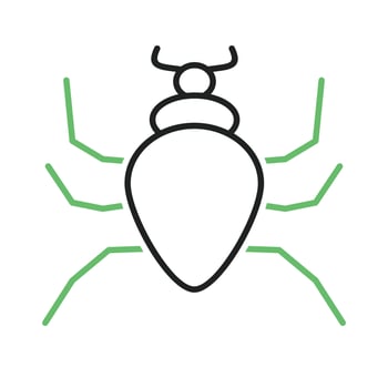 Spider Insect Line Green and Black Icon vector