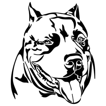 American Pitbull Terrier dog. vector
