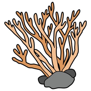 Under Sea Plants vector