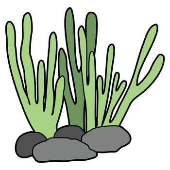 Under Sea Plants vector