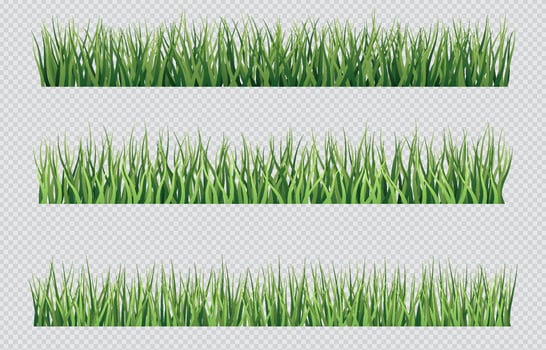 Grass with Transparent Background vector