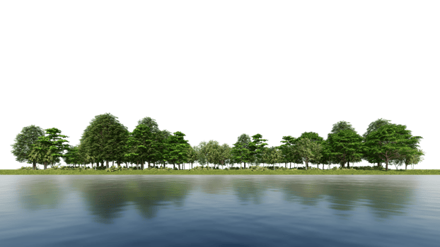 3ds rendering image of 3d rendering trees on grasses field png