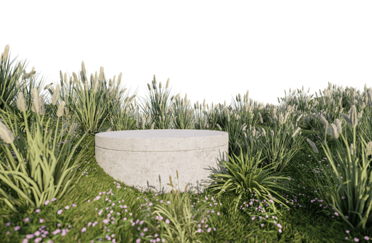 A 3d rendering image of product display on grass field png