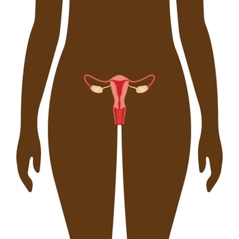 Illustration of the female reproductive system. human anatomy vector