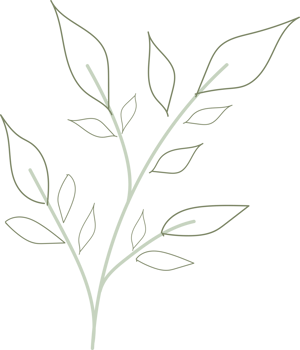 floral leaf  hand drawn flat design  illustration png
