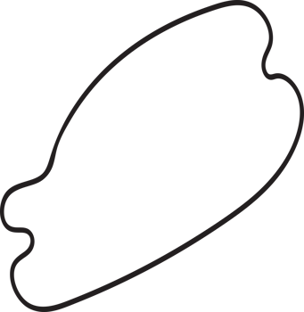organic blob shapes hand drawn illustration png
