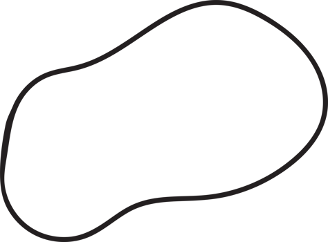 organic blob shapes hand drawn illustration png