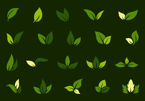 Logo of green leaf. Ecology nature element vector icon. Eco vegan bio. Vector illustration