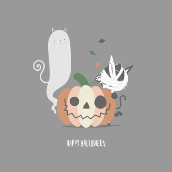 happy halloween holiday festival with cute mummy cat and pumpkin, flat vector illustration cartoon character design