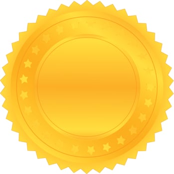 100 percent guarantee satisfaction quality vector
