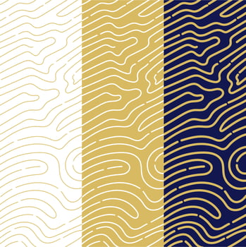 Rounded lines pattern collection vector