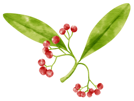 Branch of Red berries watercolor style Decorative Element png