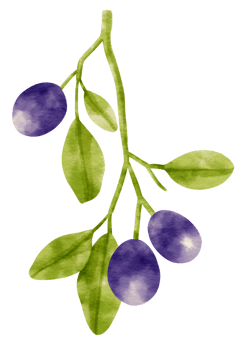 Branch of blueberries watercolor style Decorative Element png
