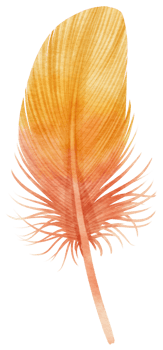 Yellow Feather watercolor hand painted illustration for Decorative Element png