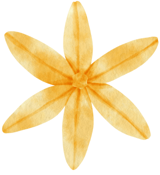 Yellow flower watercolor painted for Decorative Element png