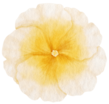 Yellow flower watercolor painted for Decorative Element png