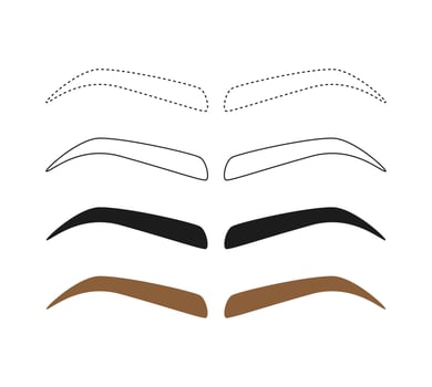Eyebrow tracing on white background vector