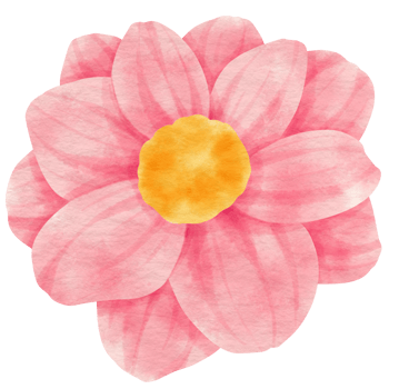 Pink flower watercolor painted for Decorative Element png