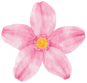 Pink flower watercolor painted for Decorative Element png