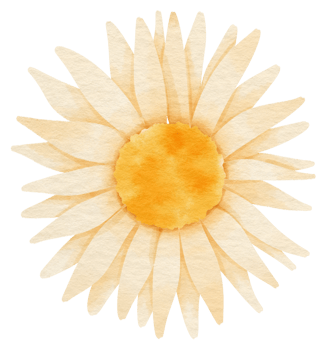 White flower watercolor painted for Decorative Element png