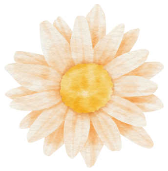 White flower watercolor painted for Decorative Element png